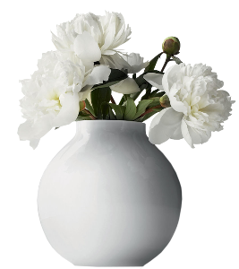 a beautiful vase with white peonies 